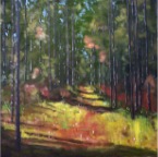 East Texas Woods