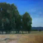 Eucalyptus Row