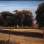 Afternoon Shadows